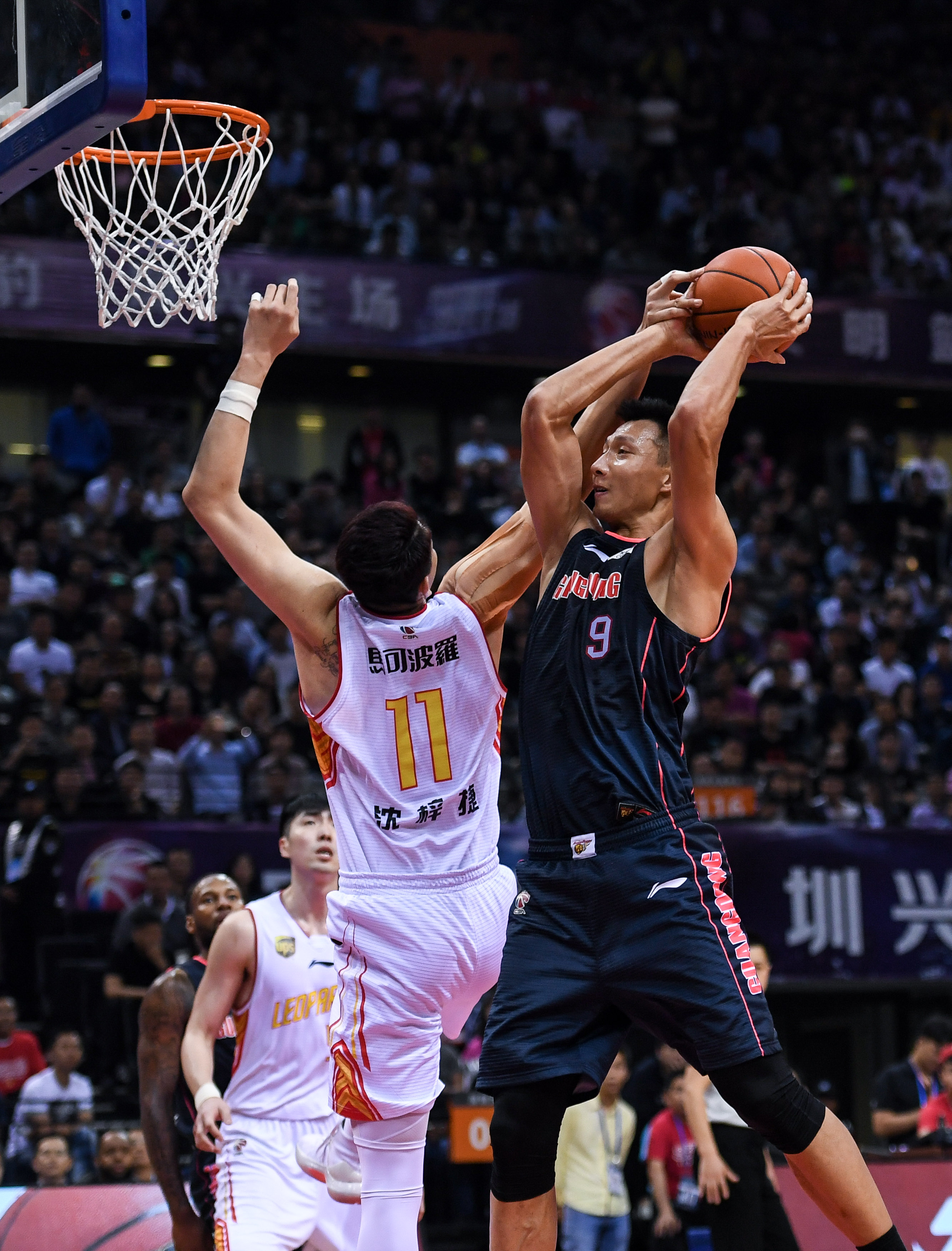 递科学养宠 递科学养宠