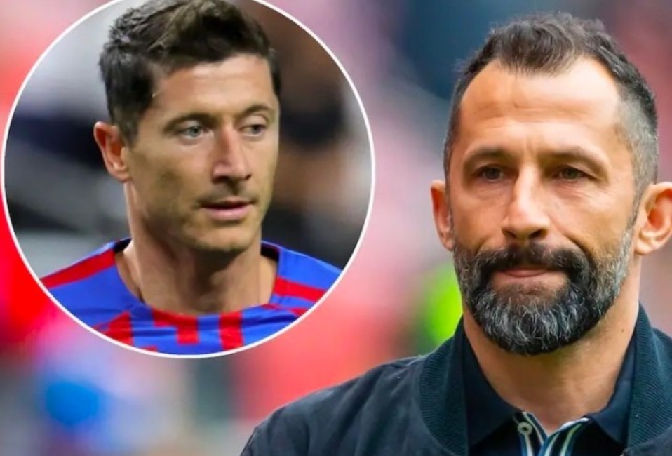 职业生涯的 职业生涯的